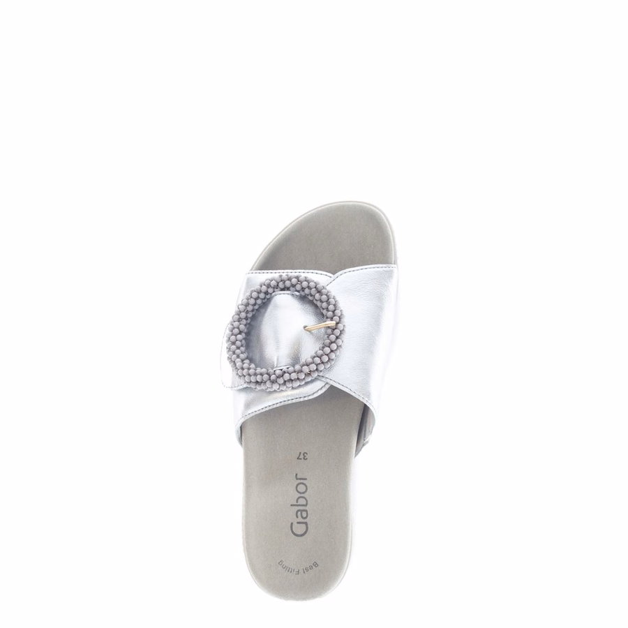SILVERMULA